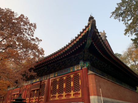 香山公园公司团建活动