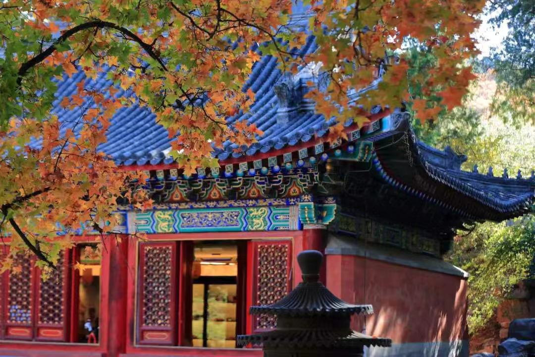 国家主席习近平发表二〇二一年新年贺词